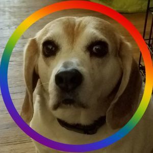 Meet your Posher, Jean